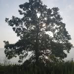 Jeffery Pitts - @jefferypittz - Instagram