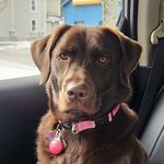 Jeffery S. Pratt - @pratt1970 - Instagram