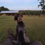 Jeffery Purcell - @jefferypurcell9 - Instagram