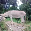 Jeffery Samuels - @jeffery.samuels - TikTok