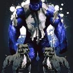 Jeffrey Singleton - @jeffreysingleton - Instagram