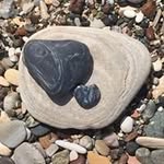 Jeffrey Steen - @jeffreysteen1 - Instagram