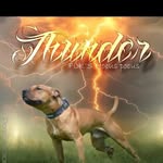 Jeffrey van der Steen - @thunderflk - Instagram