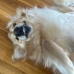 Jeffrey Sylvester - @sweetbabyjeffles - Instagram
