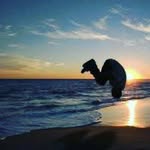 jeffery tapp - @jeffery.flips - Instagram