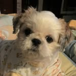 Jeffery Tse - @tsejeffery - Instagram