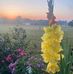 Jeffery Walter - Facebook