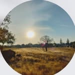 jeffery waters - @jeff_1025_ - Instagram