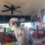 Jeffrey Windham - @jeffrey.windham.7792 - Instagram