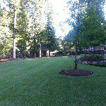 Jeffrey Windham - @windhamlandscape - Instagram