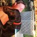 Jeffery Wright - Facebook