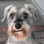 Jeffery Wright - @jefferywright362 - Instagram