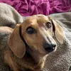 jeffreyabell247 - @jeffreyabell247 - TikTok