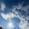 Jeffrey_2 - @jeffrey_alt0 - TikTok