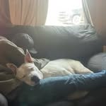 Jeffrey Applegate - @jeffrey.applegate - Instagram