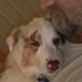 Jeff Arrowood - Facebook