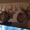 Jeffery Ashby - @jeffery.ashby3 - TikTok