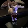 jeffreyashby522 - @drunkcat79 - TikTok