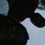 Jeffrey auguste - @shes_minebihh - Instagram