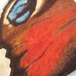 Jeffrey - @jeffreybackus - Instagram