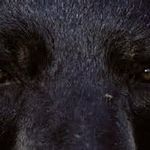 Jeffrey Baird - @kepeliii - Instagram