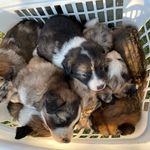 jeffrey baird - @jeffreybaird_ - Instagram