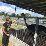 Jeffrey Bales - @jeffrey.bales.927 - Instagram