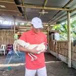 Jeffrey Bales - @bales_jeffrey - Instagram