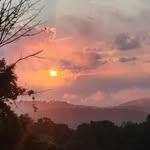Jeffrey Bardin - @jeffreybardin - Instagram