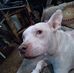 Jeff Bast - Facebook