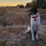 Jeff Baugher - @jeffrey.baugher - Instagram