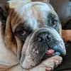 Jeffrey Buterbaugh - @jeffreybuterbaugh - TikTok