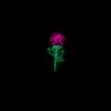 Jeffrey Baylor - @jeffrey.baylor0 - TikTok