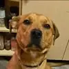 jeffreybeaumontse - @jeffrey.beaumont3 - TikTok