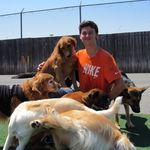 Jeffrey Becker - @dog_whisperr - Instagram