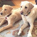 Jeffrey Becker - @jeffrey.becker - Instagram