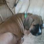 Jeffrey Becker - @jeffreybecker73 - Instagram