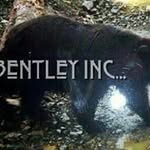 Jeffrey Bentley - @jeffrey.bentley.10690 - Instagram