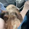 Jeffrey Bidwell - @jeffrey.bidwell - TikTok