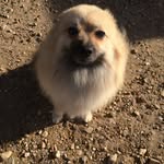 Jeffreybob - @jeffkebob29 - Instagram