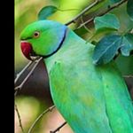 Jeffrey D Bohrer - @jeffreydbohrer - Instagram
