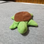 jeffrey bolanos - @turtlefam17 - Instagram