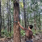 Jeffrey Soto Bolaños - @fitosb2216 - Instagram
