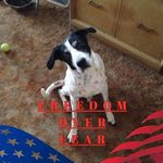 Jeffrey Bolduc - @jeffrey.bolduc.7 - Instagram