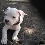 Jeffrey Bones - @jeffreybones - Instagram