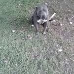 Jeffrey Boney - @boneyjeffrey - Instagram