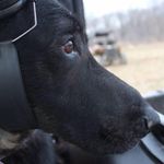Jeffrey Ryan Bonnell - @jeffreybonnell - Instagram