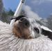 Jeffrey Boos - Facebook