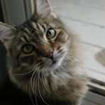 Jeffrey Borders - @feltar1 - Instagram