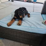 Jeffrey William Borowski II - @jeffreywilliamborowskiii - Instagram